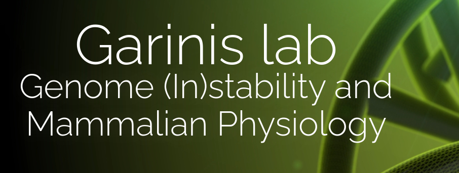 The Garinis lab will coordinate two ERA Chair programs