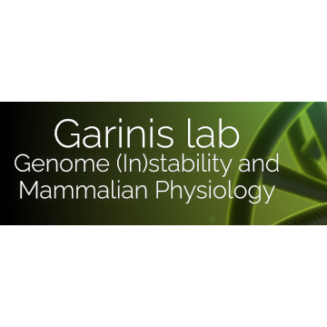 The Garinis lab will coordinate two ERA Chair programs