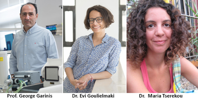 The splicing factor XAB2 interacts with ERCC1-XPF and XPG for R-loop processing